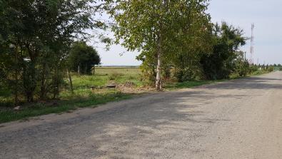 1. kép